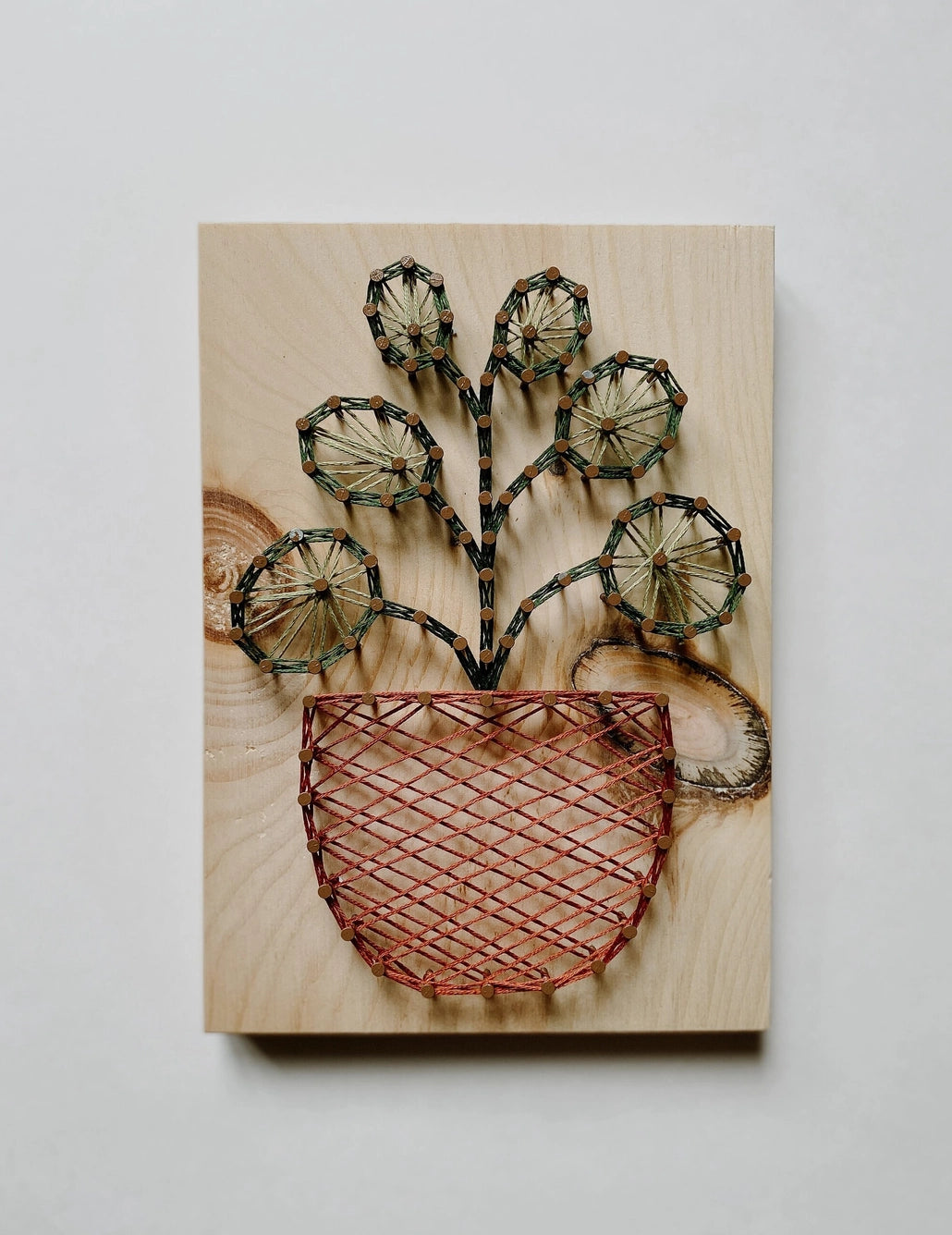 Pilea DIY String Art Kit