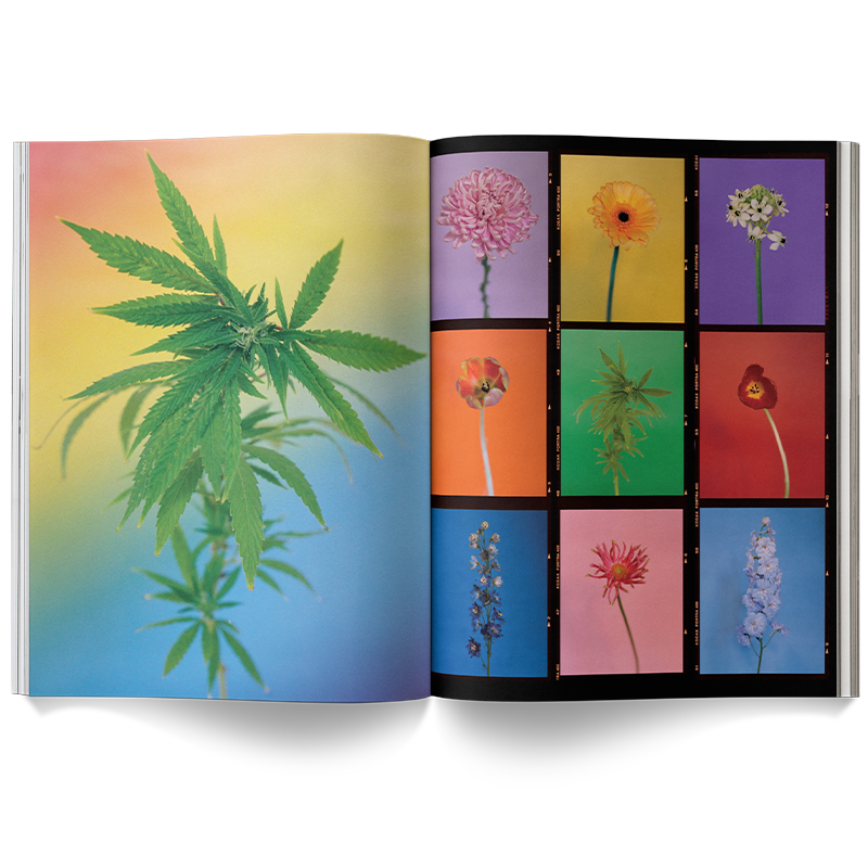 A Weed is a Flower Book