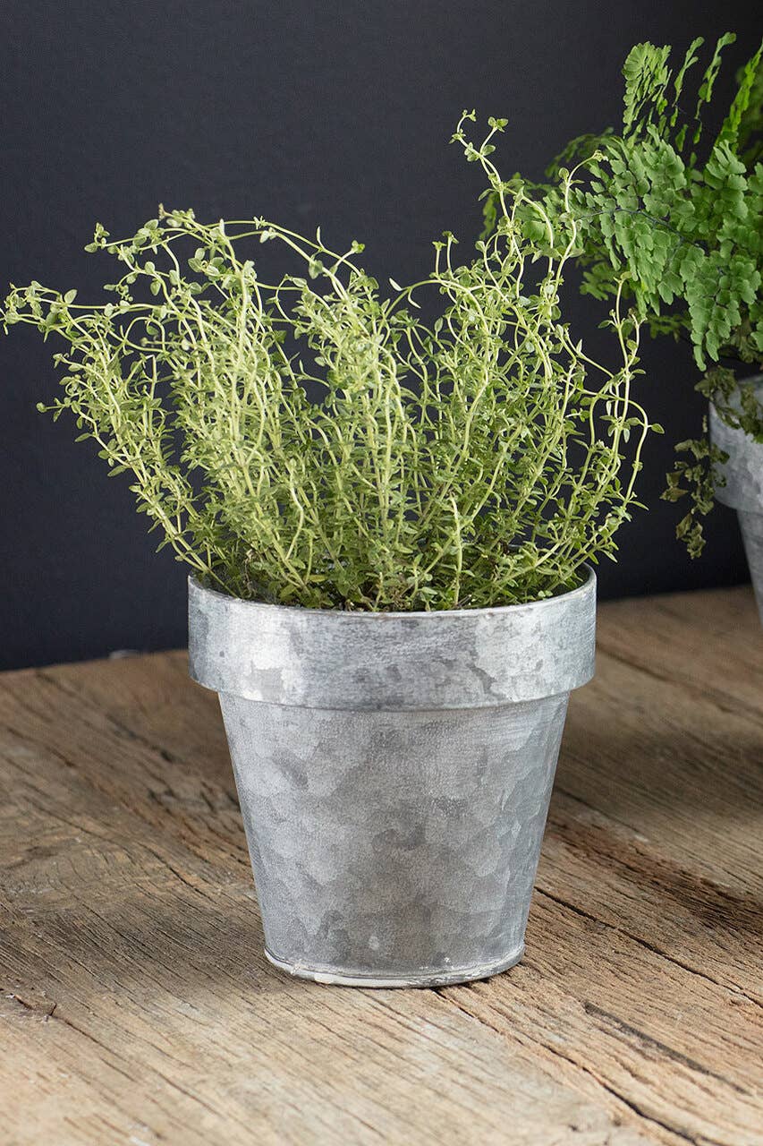Medium Zinc Flower Pot